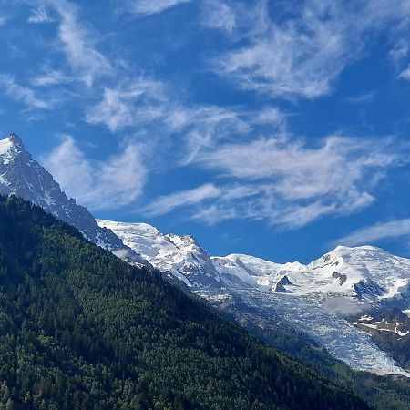 샤모니 Le Petit Balcon Avec Vue Sur Le Mont-Blanc 2 Etoiles 아파트 외부 사진