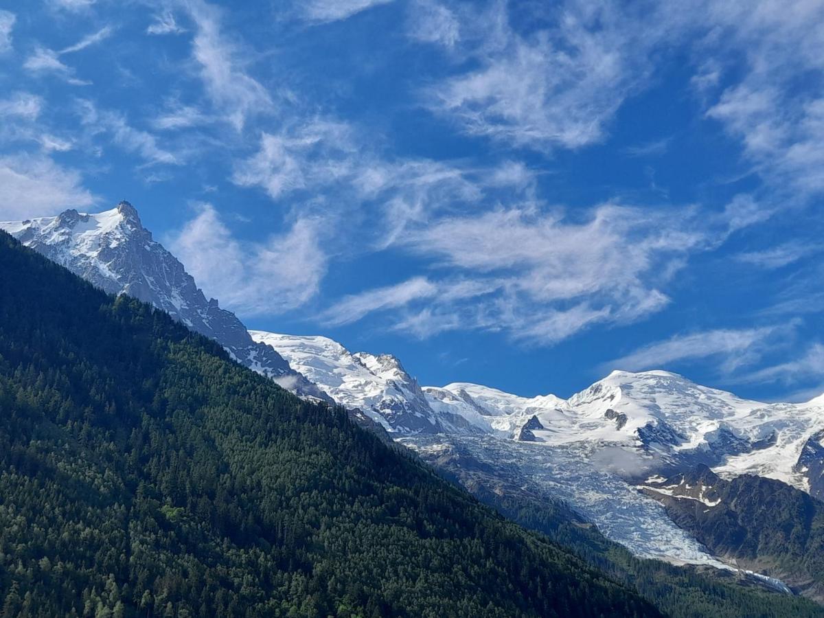샤모니 Le Petit Balcon Avec Vue Sur Le Mont-Blanc 2 Etoiles 아파트 외부 사진